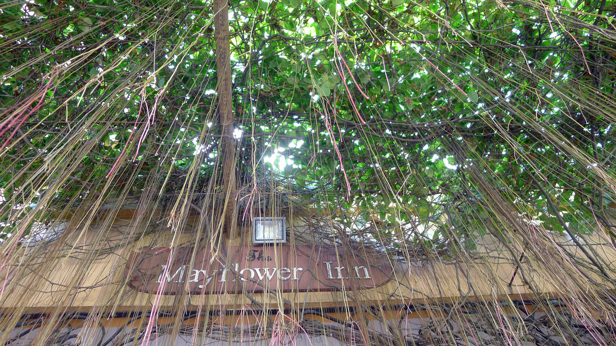The Mayflower Inn Себу Экстерьер фото